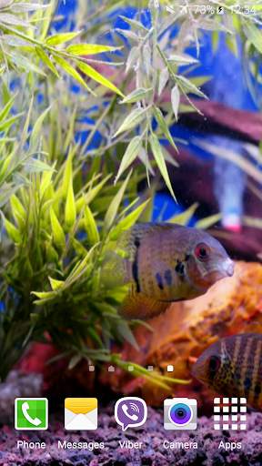 Aquarium Video Wallpaper screenshot 5