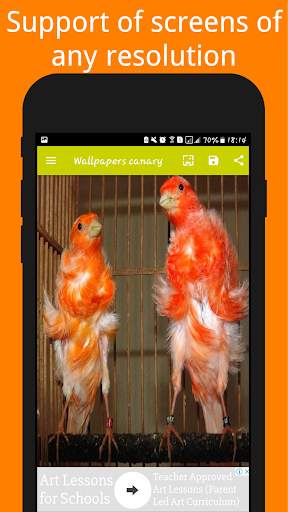 Canary Birds Wallpaper स्क्रीनशॉट 5