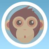 bubbles pets