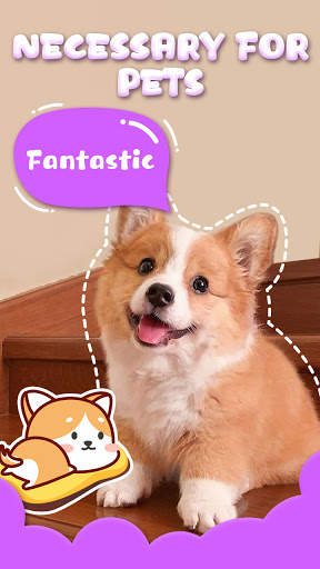 Cat Dog Talking screenshot 2