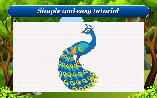 How to Draw Birds Step by Step स्क्रीनशॉट 8