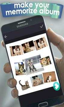 Free HD video reverser screenshot 1
