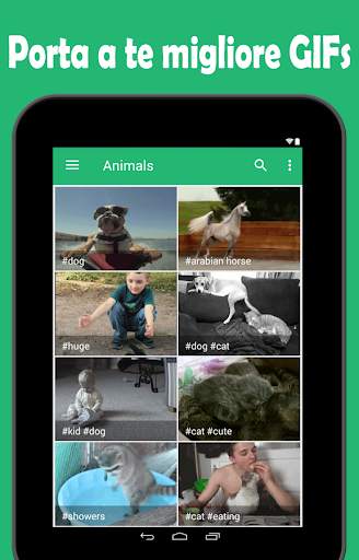 GIFs - Ricerca Animate GIF screenshot 6