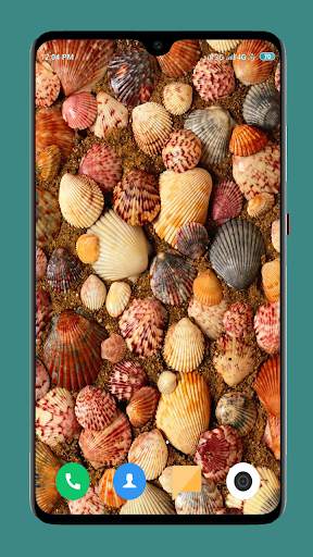 HD Seashell Wallpaper screenshot 5