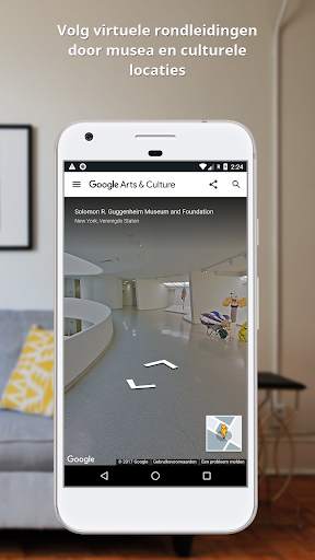 Google Arts & Culture screenshot 6