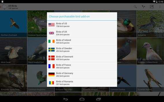 Bird Watcher screenshot 16
