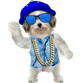 Funny Talking Dog icon