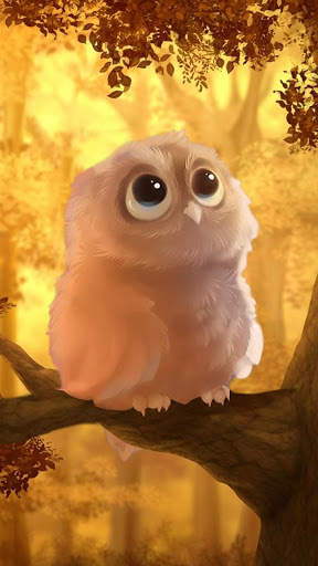 Cute Owl APUS Live Wallpaper screenshot 5