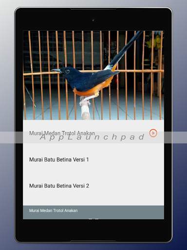 Kicau Burung Terlengkap screenshot 23