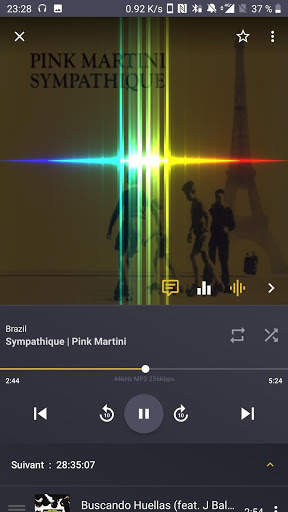 SublimBeats Music Player screenshot 3