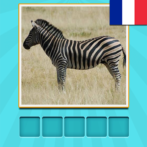 Animaux Quiz - deviner et apprendre icon