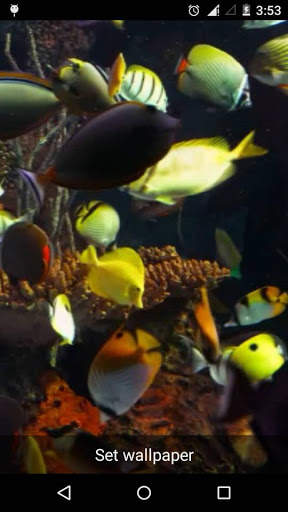Fish Aquarium A Live Wallpaper screenshot 3