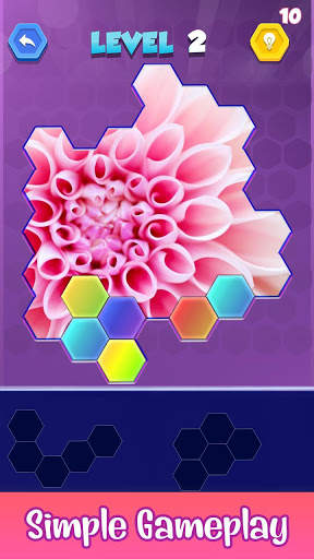 Jigsaw Hexa Puzzle - Block Hexa Puzzle Game screenshot 4