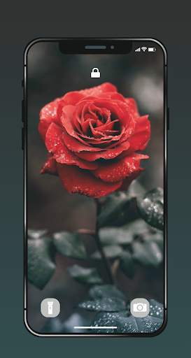 ✿ HD Flowers Wallpaper - 4K Beautiful Flowers screenshot 14