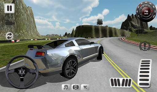 Sport Car Simulator screenshot 9