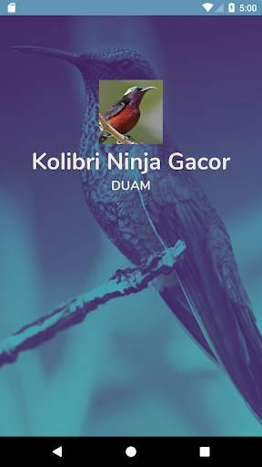 Pancingan Suara Kolibri Ninja screenshot 2