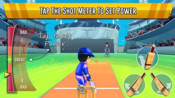 Pakistan Cricket League screenshot 7