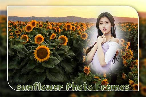 Sunflower Photo Frame screenshot 3