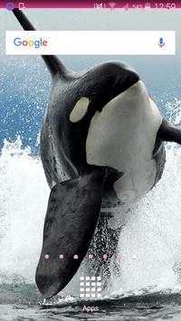 Whale Wallpapers screenshot 1