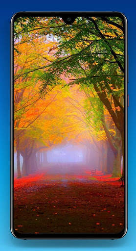 Nature Wallpaper HD screenshot 11