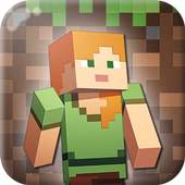 Mincraft: Pocket Edition 13