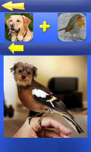 Morph Hybrid Animals 3 تصوير الشاشة