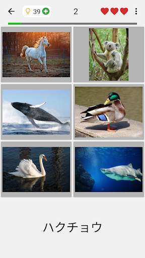 写真と言葉を推測する : 5つのトピックに画像をクイズ screenshot 2