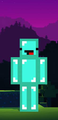 Block Skin For Minecraft screenshot 2