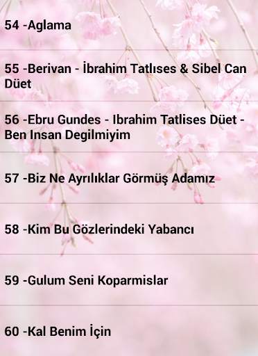 İbrahim Tatlıses Şarkıları İnternetsiz 60 Şarkı screenshot 2