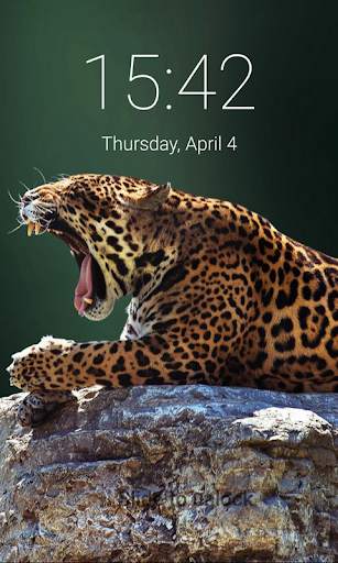 Jaguar Lock Screen Jaguar Passcode Keypad screenshot 5
