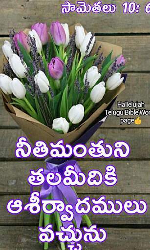 Daily Bible Prayer Quotes Telugu screenshot 8