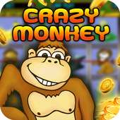 Monkey Hero