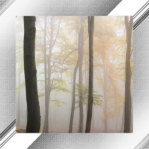 Fog Photo Frames 1.0.0.23