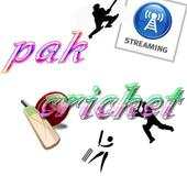 pak cricket 1.0