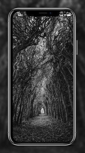Black and White Wallpaper screenshot 3