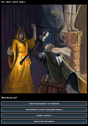 Dungeons and Decisions RPG screenshot 23