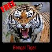 Bengal Tiger 1.0