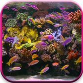 Aquarium icon