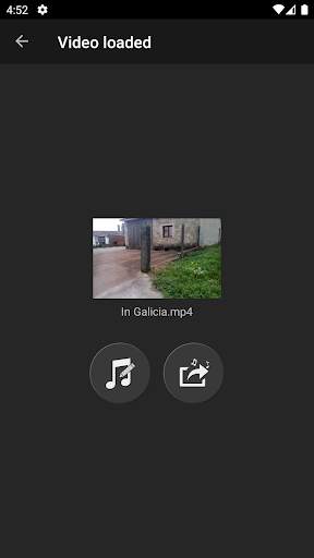 Extract Audio from Video screenshot 2