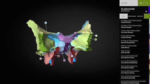 Anatomyka - Anatomia 3D screenshot 13