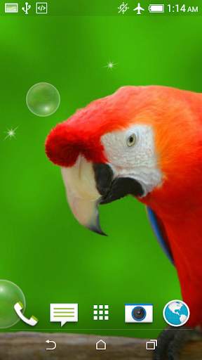 Birds Jigsaw Puzzle   LWP screenshot 7