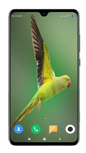 Bird Wallpaper 4K स्क्रीनशॉट 2