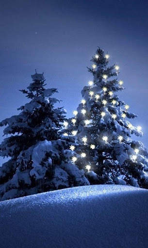 Winter Wallpaper 4K screenshot 14