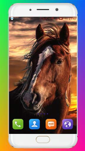 Horse Wallpaper HD screenshot 13