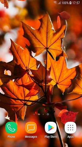 Beautiful Autumn Live Wallpaper HD screenshot 2