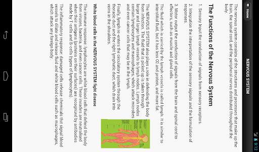 Human Body System screenshot 5