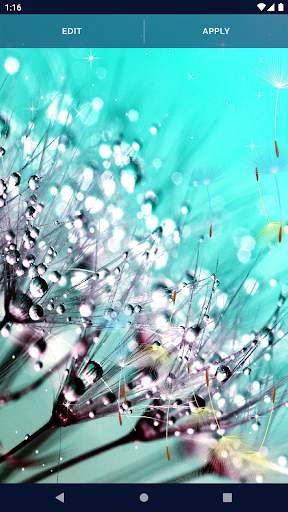 Dandelion Live Wallpaper screenshot 4