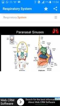 Respiratory System screenshot 3