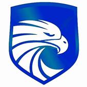 Falcon VPN icon