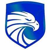 Falcon VPN ￾㄀㌀
